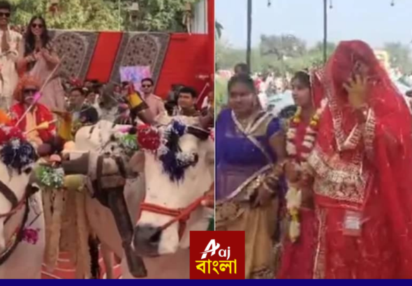 Madhya Pradesh Chief Minister