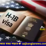 H-1B visa